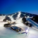 웰리힐리파크 이미지