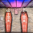 도그 앤 캣츠 이미지