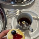 낙타(NAKTA) 이미지