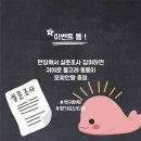 코튼마켓 네이버블로그