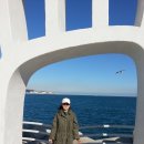 칠암바다장어 이미지