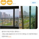 지웰시티크리닝 이미지