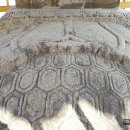 상주 사서 전식 신도비 이미지