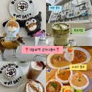 성진카인테리어 | 사진 만 장 찍은 귀욤뽀짝 ❣️상수역 나들이❣️ (소코아카레🍛/튜토리얼☕️/데장생카찍먹🍀😈)