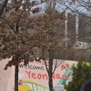 유당빌딩 | [연남동 맛집] 아인슈페너의 성지, 오츠커피 연남점 솔직 후기! 인생 커피와 시나몬롤의 만남