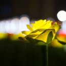 조이마루 아트홀 이미지