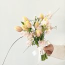 지아아틀리에 이미지