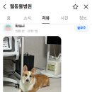 그래요 - 연수구 컨벤시아대로 100 | 그래요