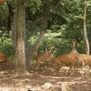 건상농장 이미지