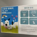 행복이열리는둘리약국 | 강아지 영양제 라이프펫 성수 팝업 EQL