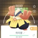 하리몽 이미지
