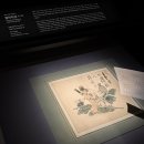 풍죽 | 삼청도도 - 매·죽·난, 멈추지 않는 이야기(25.09.23.~12.21.)] 엄마랑 간송미술관 처음 방문한 후기