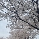 영숙농장 이미지