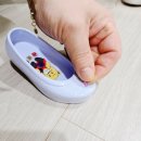 고무신 꾸며 다육이 심기 이미지