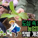 향림도시농업체험원