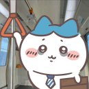 (주)애니제이 | [일본어 공부] 와카메센세 일본어 카톡 온라인스터디 - 왕초보탈출 내돈내산 솔직한 완강 후기! (장단점)