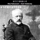 표트르 일리치 차이콥스키 / '호두까기 인형' 주제에 의한 변주곡 - 이리스 다베리오(fL), 조스캥 오탈(Pf) 이미지
