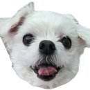카페로즈메리 이미지