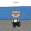 카페라플렌