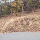 땅냄새공인중개사사무소 이미지