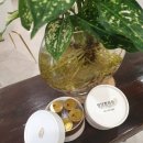 영담한의원 이미지