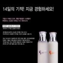 엘씨엠 Daum카페