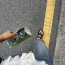 성오골프 | 이제 막학기인 사람의 근황