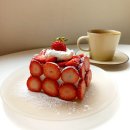 퍼피빈 스튜디오 이미지