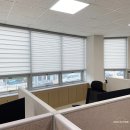 지에스테크 이미지