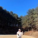 일상 (연희동 로얄싸롱,망원동 604서울,신사고집,크리스마스캠핑과 새해캠핑,홍천 캠프인디오 솔직후기)