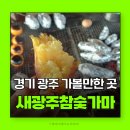새광주충전소 | 24시간찜질방 경기도광주가볼만한곳 새광주참숯가마