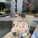 차족관물멍