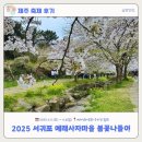 예래 | [제주축제후기] 2025 예래생태공원 벚꽃축제 후기