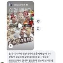 지안약국 | 5월 지안mom 소비기록