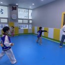리틀태권도장 이미지