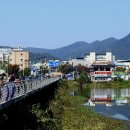 이양우선생묘및신도비 이미지