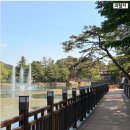가-80 | 충북 제천 가볼만한 곳 의림지 산책로 (트래킹 코스로 추천)