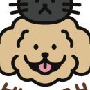 홍게무한리필 썬크랩 이미지