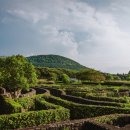 제주도건강랜드 이미지