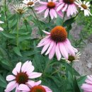 여주자영농업고등학교 이미지