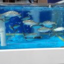 키다리횟집 이미지