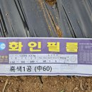 영생 농장 이미지