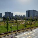 양천향교역 서울식물원 입구 쪽 정원을 만들었네요 이미지