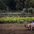 (주)한울타리 농촌체험마을 | 🌾농촌관광 가는 주간 : 매월 둘째 주, 농촌체험·숙박 최대 50% 할인!