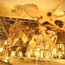 국립중앙과학관 이미지