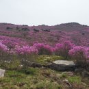 청도자연휴양림 이미지