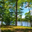 행심이네식당 이미지