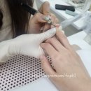 손달샘(son dal saem)