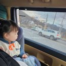 나린오토캠핑장 | 나린오토캠핑장 2박3일 캠핑 후기 (25.11.21~11.23)