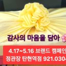 정관장홍삼탄현역점